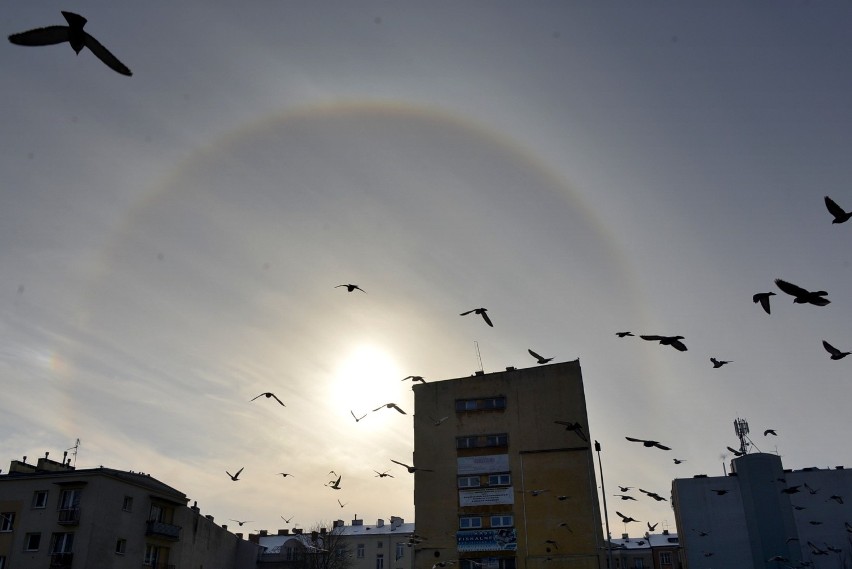 W niedzielę na Karczówce w Kielcach widoczne było halo...