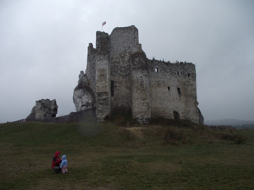 Zamek w Mirowie