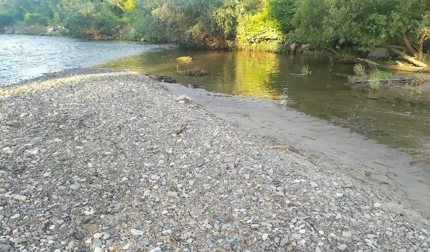 Ludzkie kości odnalezione w rzece Sole? Śledczy badają sprawę 