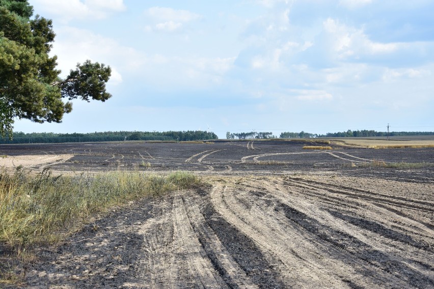 Pożar zboża na polu w Sulinowie, gmina Żnin.