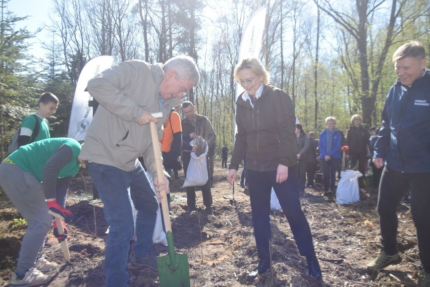 Drzewka sadzili razem Anna Moskwa, minister klimatu i...