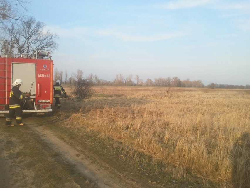 Gmina Książ Wlkp.: pożar w Zaborowie. Spłonęła trawa...