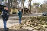 Konar runął na ul. Cmentarną. Drzewo było zgłaszane do wycinki