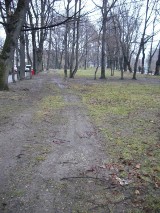 Park Włókniarzy w Bielsku-Białej niszczeje na naszych oczach