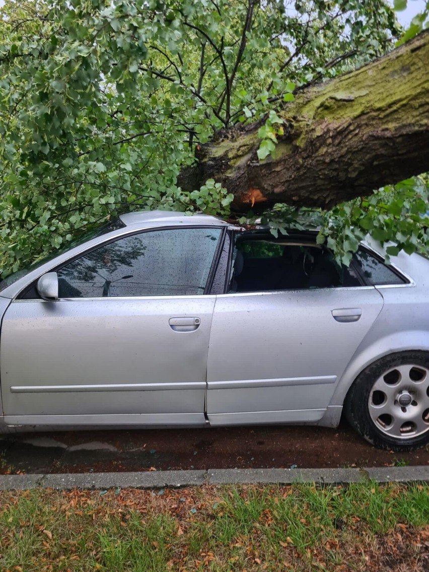 Drzewo runęło na samochód koło Leszna  na przykościelnym...