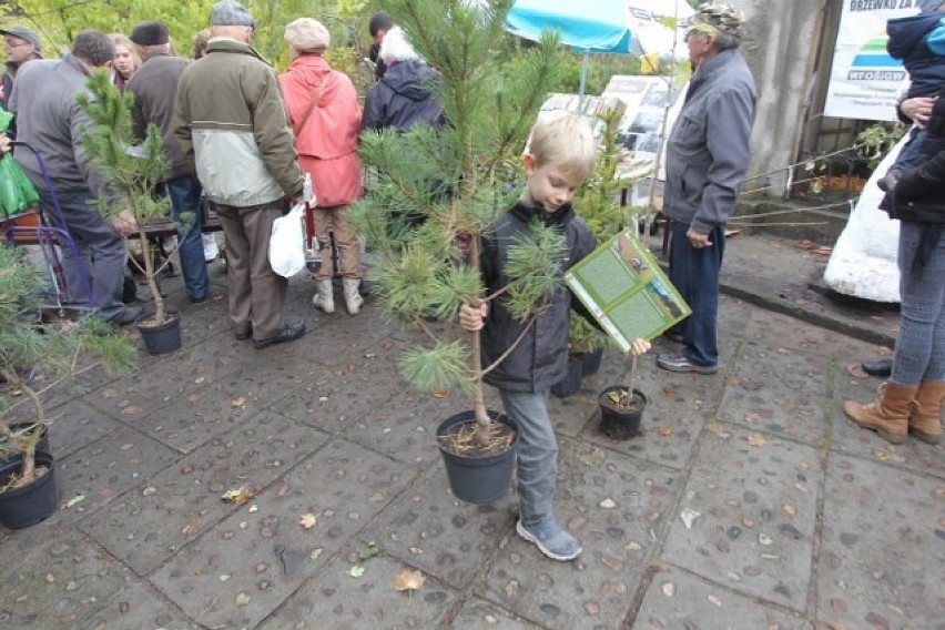 Drzewko za makulaturę 2015: Tłumy w Starym Zoo w Poznaniu