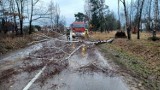 Wichura w powiecie wyszkowskim. 16-20.02.2022. Zdarzenia dotyczyły głównie przewróconych drzew, a także uszkodzonych budynków. Zdjęcia