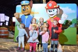 Bohaterowie „Psiego Patrolu” i „Pszczółki Mai” z okazji Dnia Dziecka przyjadą do Brzezin