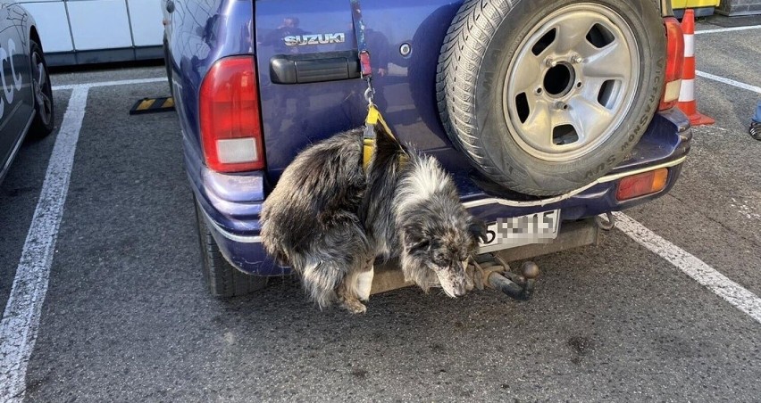 Pies wisiał za samochodem w Bielsku-Białej. Do zdarzenia doszło na parkingu przed Sarnim Stokiem