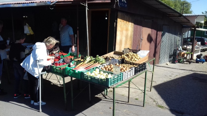 Na rynku w Bełchatowie truskawki taniały... z każdym krokiem [ZDJĘCIA]