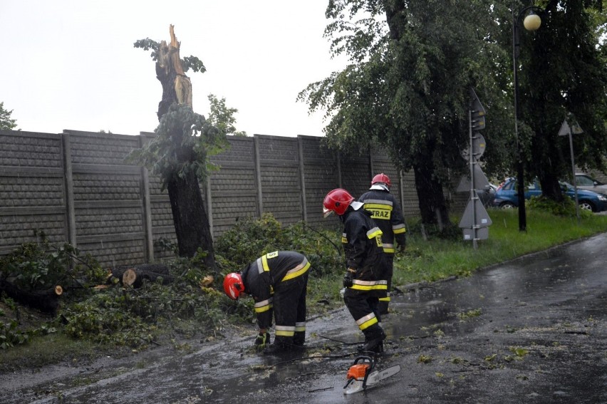 Burza nad Głogowem. Drzewo spadło na mur więzienia i samochody. ZDJĘCIA