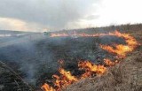 Cienia Druga. Tragedia podczas wypalania trawy. Nie żyje 68-letni mężczyzna 