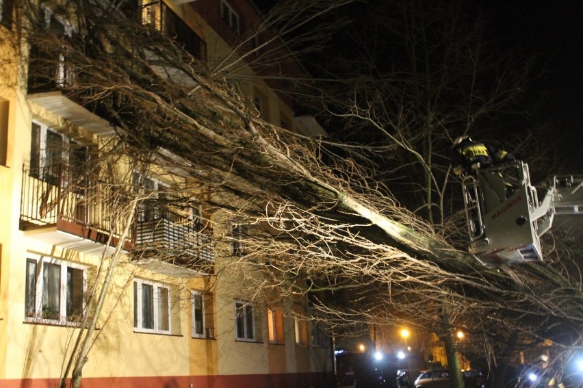 Drzewo spadło na blok [Zdjęcia, Film]