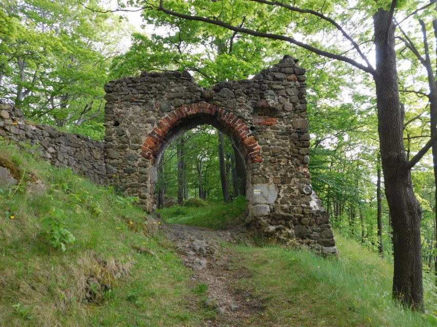 Wyprawa do ruin zamku Nowy Dwór na wałbrzyskim Podgórzu