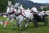 Zakopane. Górale walczyli w Mistrzostwach Podhala w powożeniu [ZDJĘCIA]