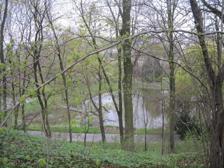 Ogród Botaniczny UMCS. Zaproszenie na spacer