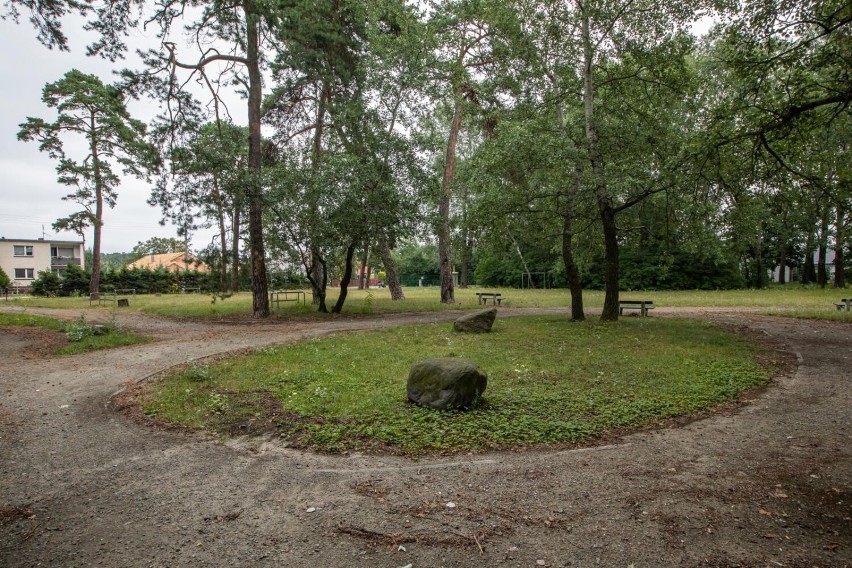 Bydgoski ratusz unieważnił kolejny przetarg - tym razem na...