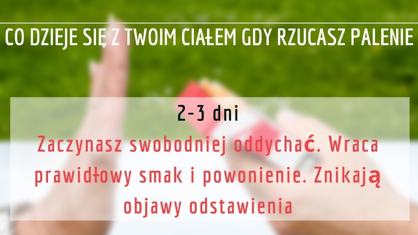 Rzucanie palenia. Co dzieje się z Twoim ciałem po trzech dniach od wypalenia ostatniego papierosa? Sprawdź!