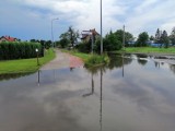 Malbork. Skutki burzy i gradobicia w obiektywie Czytelników. ZOBACZ zdjęcia i filmik