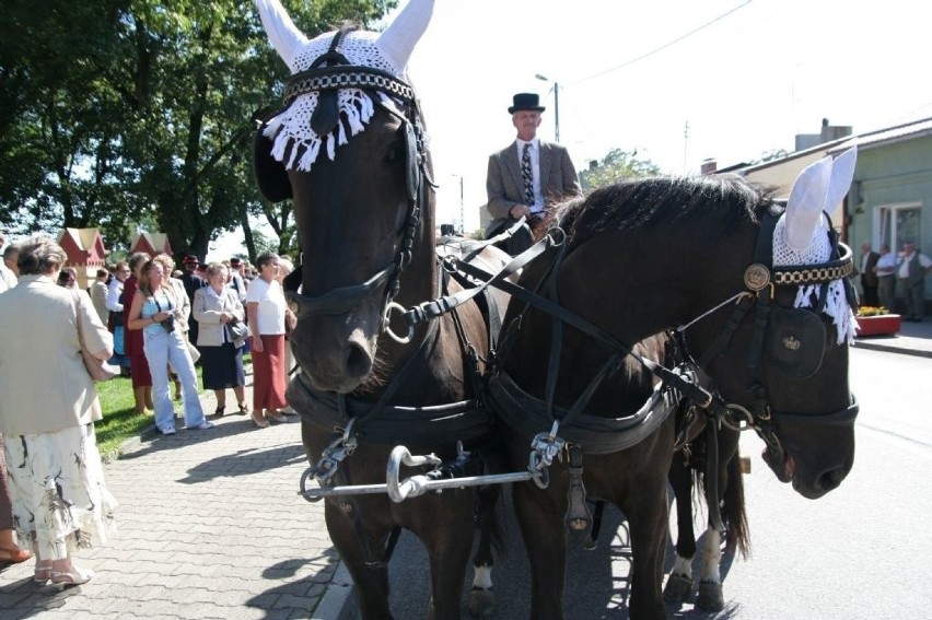 Dożynki powiatowe Lubraniec 2008 [archiwalne zdjęcia]