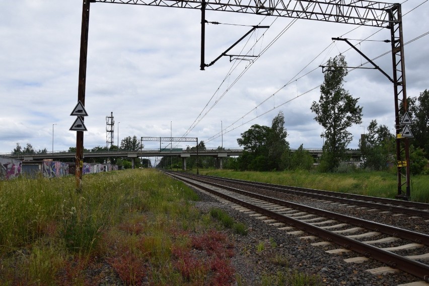 PKP PLK zapewnia, że sygnały dźwiękowe pociągów stosowane sa...