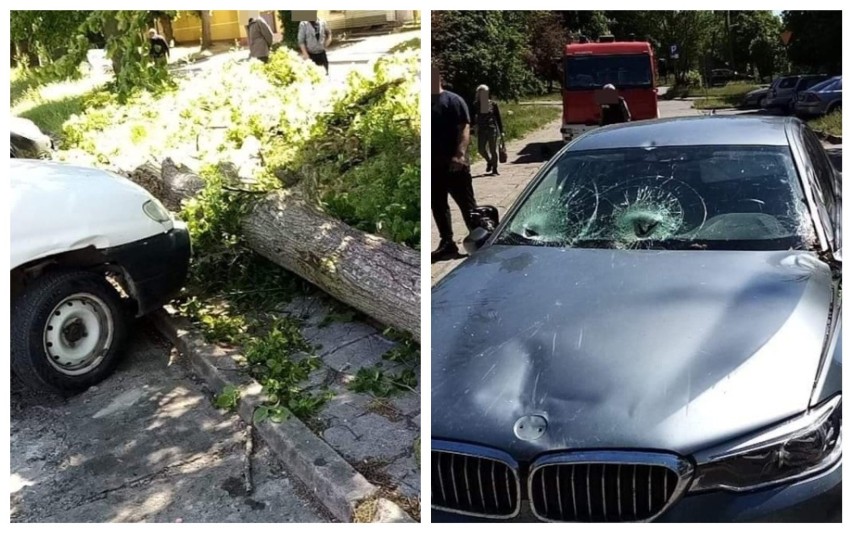 Spadł konar drzewa i uszkodził trzy samochody w Lubrańcu [zdjęcia]