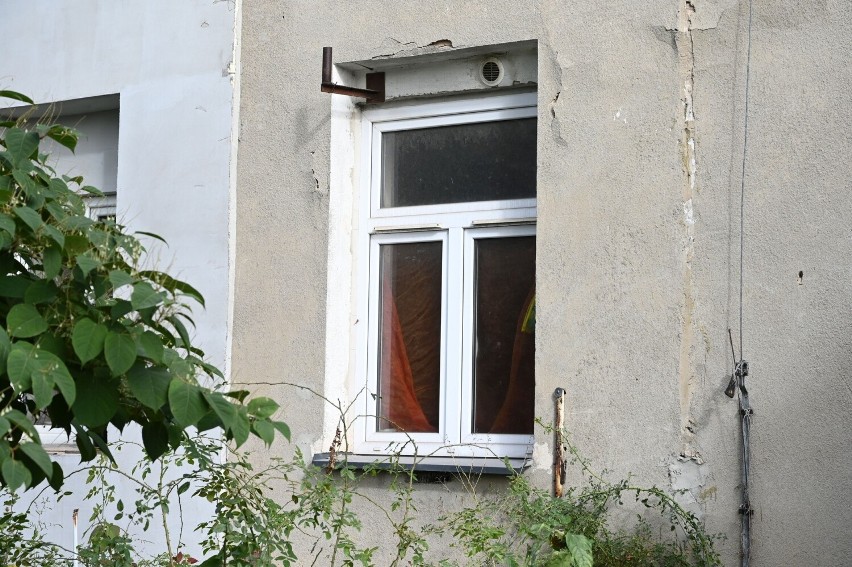 Lokatorzy nie chcą sąsiadki z kotami. Skarżą się, że na klatce schodowej w bloku w Kielcach śmierdzi