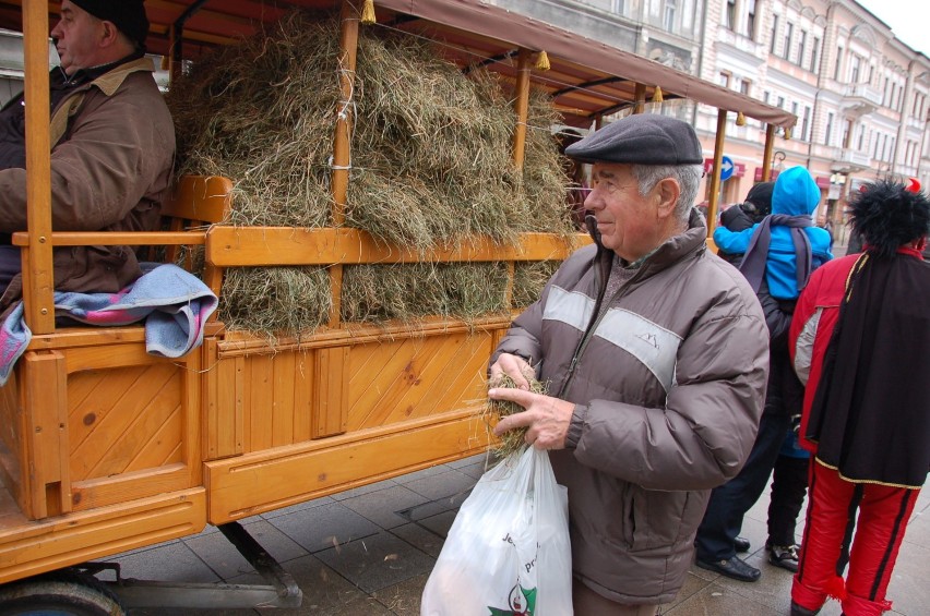 Wóz z sianem na ulicach Tarnowa