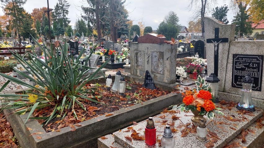 Cmentarz w Żarach w Zaduszki