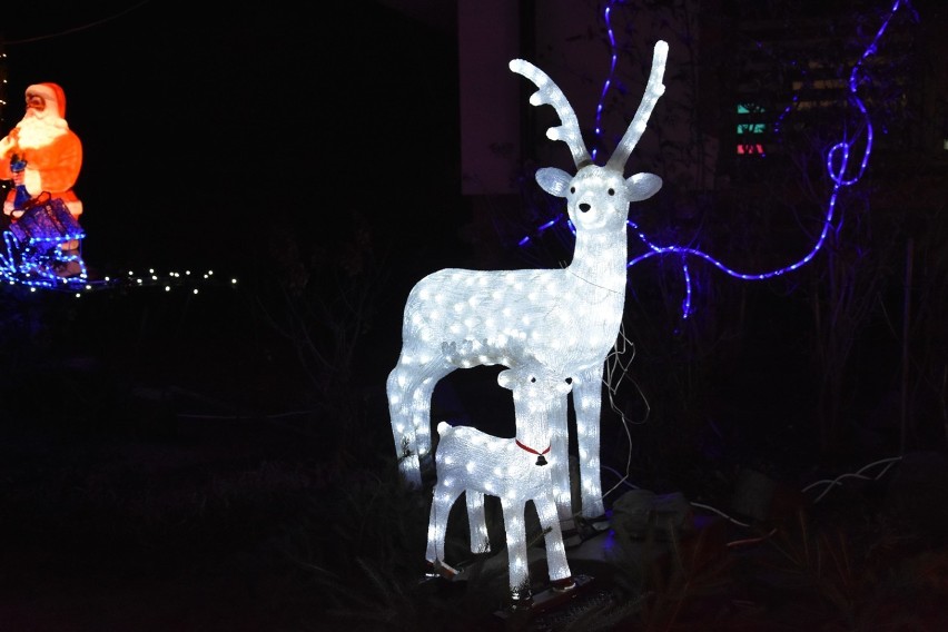 Sękowa. Świąteczne iluminacje wokół domu pana Zdzisława są radością dla rodziny, ale też mieszkańców [ZDJĘCIA]