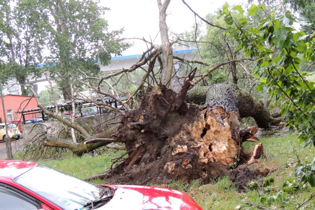 Skutki zmiany klimatu to m.in. wyjątkowo silne burze, które pustoszą nasz region