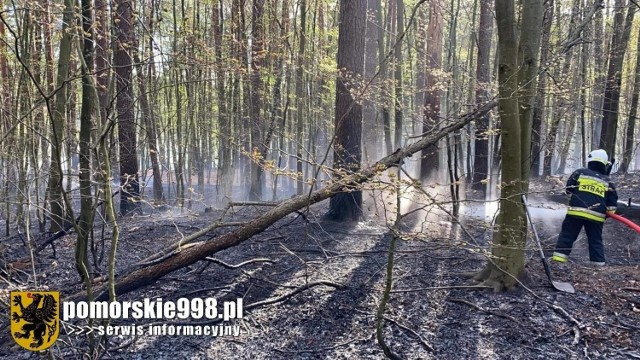 Płonął las we wsi Loryniec w poniedziałek, 10.05.2021 r.! Gasiły go liczne jednostki straży pożarnej. Nikomu nic się nie stało