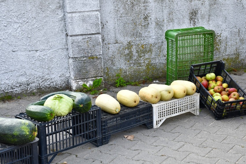 Powiat Gnieźnieński. Targowisko w Trzemesznie opanowały jesienne warzywa i owoce [FOTO]