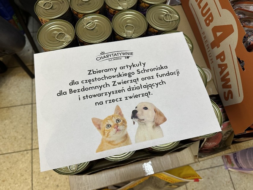 Świąteczna zbiórka dla bezdomnych zwierząt w Częstochowie