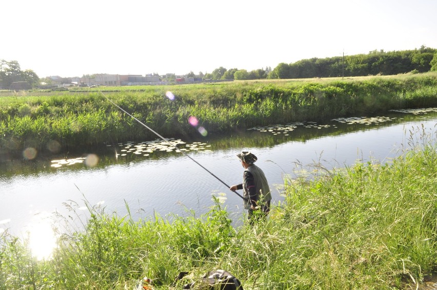 Kościan. Pierwsze po kwarantannie zawody wędkarskie na kanale Obry