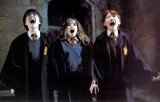 Maj na Netflixie: Wszystkie części Harry'ego Pottera oraz nowe seriale 