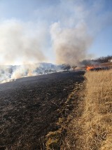 Znowu płoną trawy w okolicach Wałbrzycha! Interweniowała straż pożarna w Boguszowie i w Gorcach