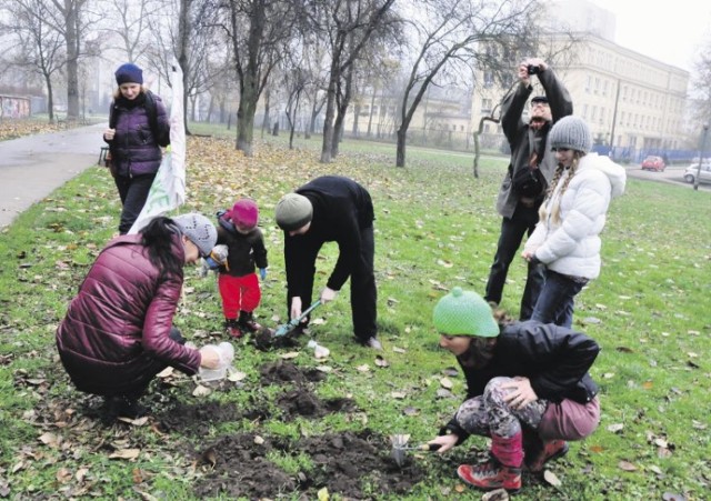 W 2012 roku mieszkańcy protestowali przeciwko zabudowie Młynówki Królewskiej, m.in. organizując happening, podczas którego sadzili białe i czerwone tulipany. Teraz zieleń w okolicy znów jest zagrożona