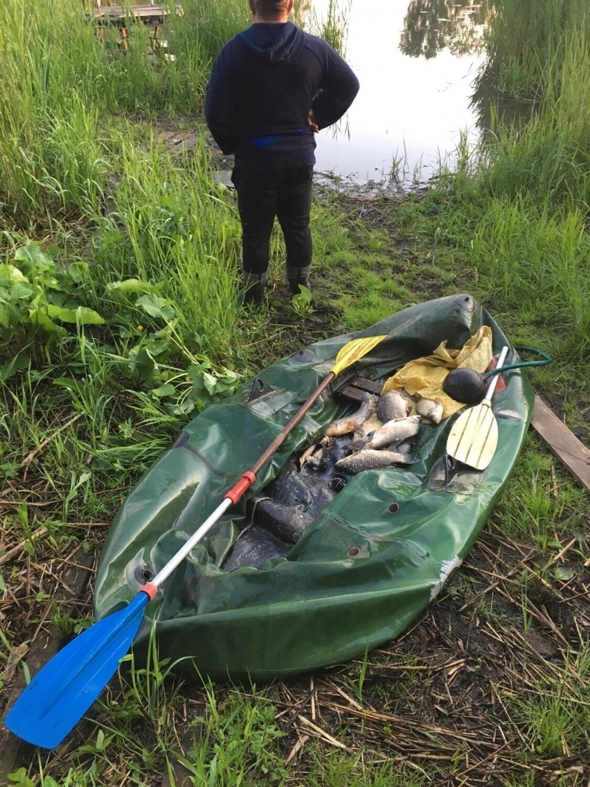 Kłusownicy ryb z powiatu nowodworskiego zatrzymani. Jeden z nich uciekał przed policją wpław rzeką