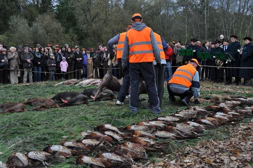 Hubertus Spalski 2011: Królem polowania został piotrkowianin Witold Maćkowiak