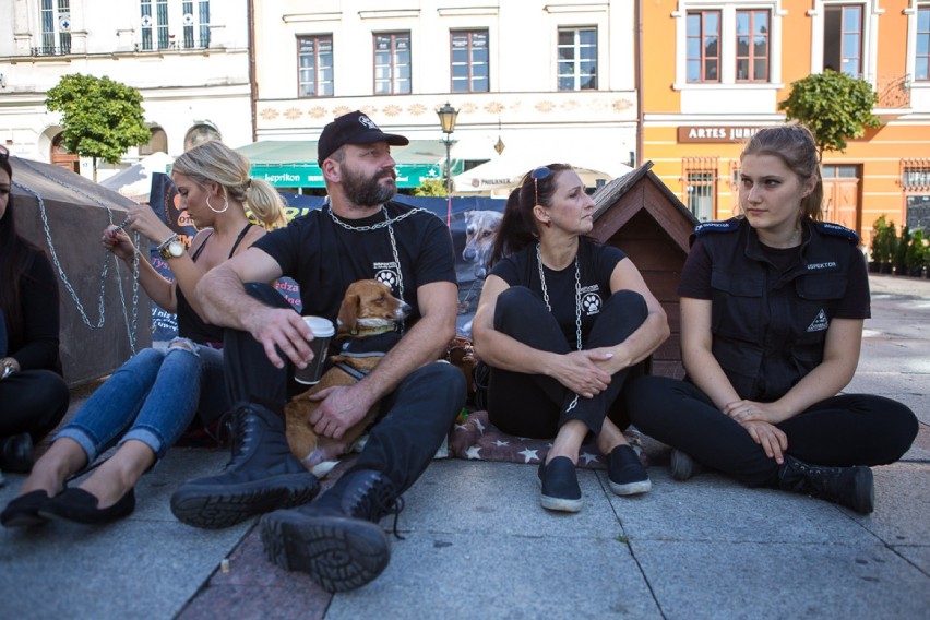 Happening "Zerwijmy łańcuchy" na tarnowskim Rynku [ZDJĘCIA]