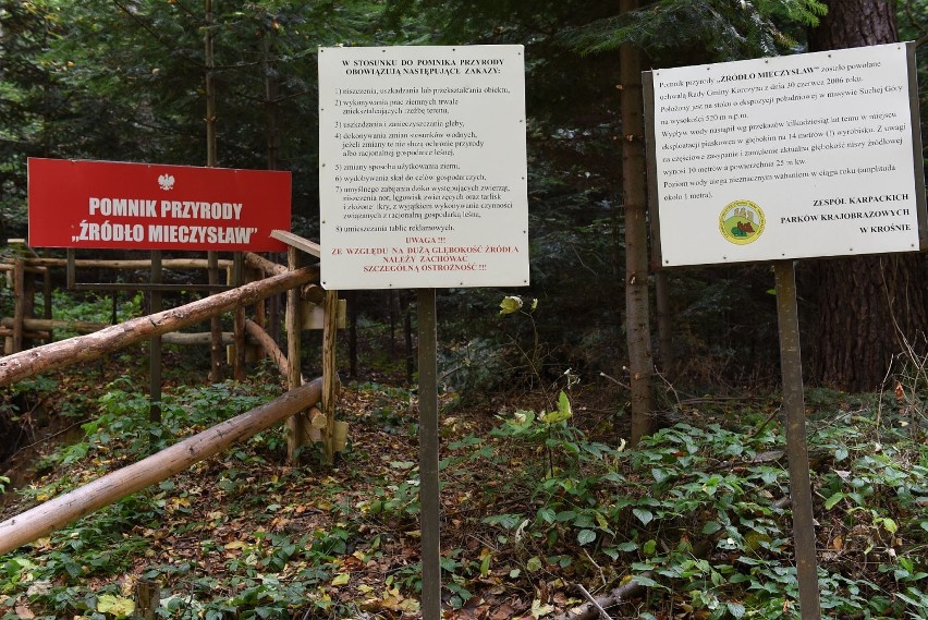 Przyrodnicza ciekawostka na stoku Suchej Góry w Czarnorzekach. Leśne źródło głębokie na ponad 10 metrów [ZDJĘCIA]