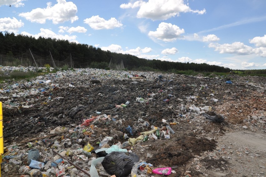 Nadciągają kolejne podwyżki opłat za śmieci. Czy w Szczecinku możliwe są dopłaty? [zdjęcia]