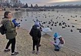 Kraków. Bagry oczarowują również zimą. I przyciągają spacerowiczów [ZDJĘCIA]