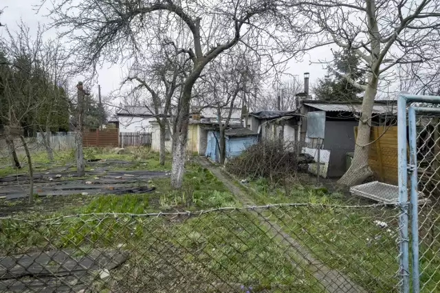 Niektórzy z mieszkańców os. Maltańskiego w Poznaniu mają piękne lokale mieszkaniowe, w których mieszkają od dawna.