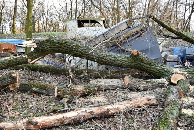 Skutki wichur w parku na Wyspie Bolko i na przystani nad Odrą.