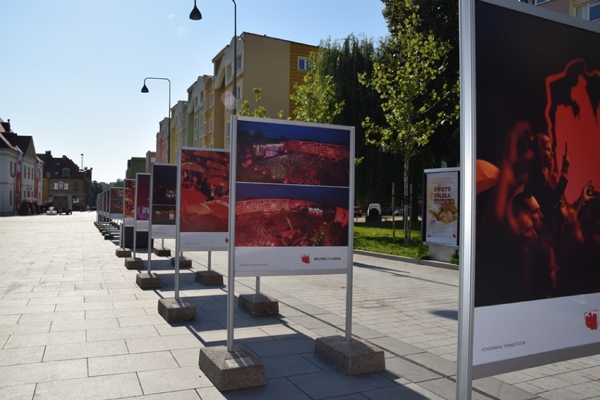 Koncert Wolność na lubińskim rynku na fotografiach