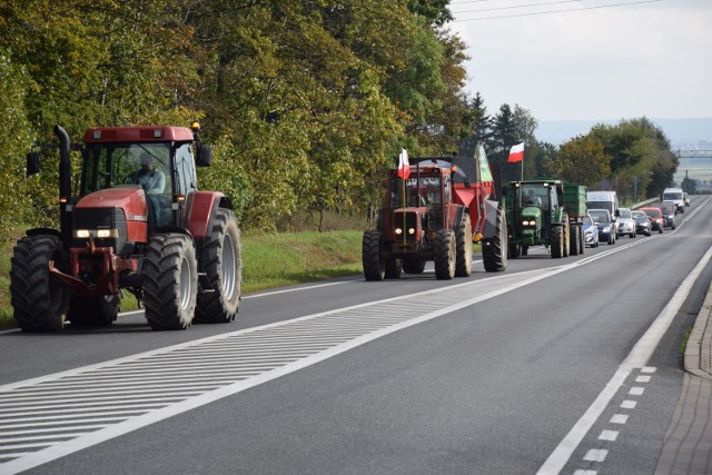 W powiecie świecki rolnicy zdecydowali się na spowalnianie ruchu na Drodze Krajowej nr 91 Nowe - Dolna Grupa