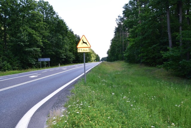 Ścieżka rowerowa Opole-Grodziec przecinałaby obszar dwóch gmina: Chrząstowice i Ozimek.