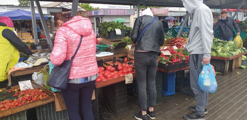 Bełchatów. Dużo nowalijek na miejskim targowisku.Zobacz, ile kosztują ZDJĘCIA